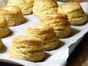 buttermilk-biscuits-november-25th-2012-1